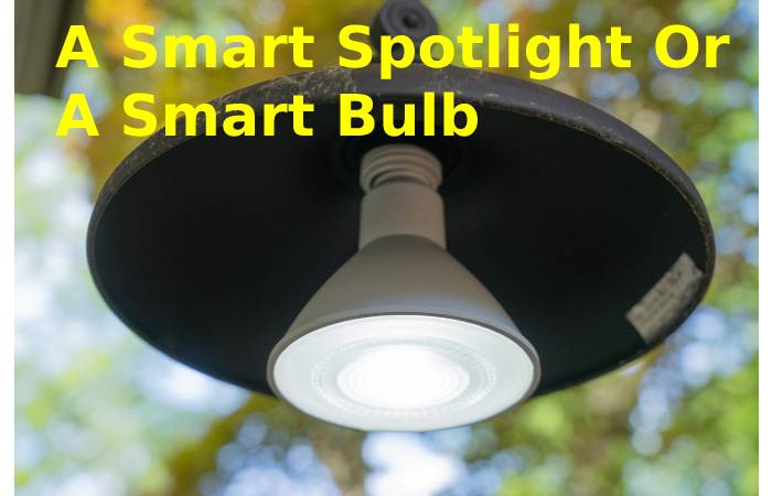 A Smart Spotlight Or A smart bulb
