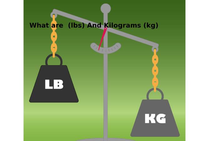 What are  (lbs) And Kilograms (kg)